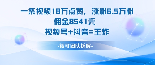 一条视频18W点赞，涨粉6.5W粉佣金8541米，视频号+抖音=王炸-月亮湾网创资源站