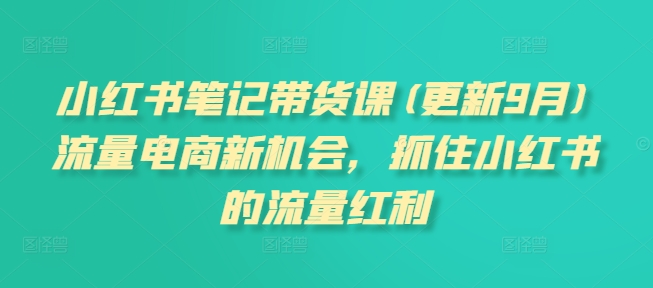 小红书笔记带货课(更新25年6月)流量电商新机会，抓住小红书的流量红利-月亮湾网创资源站