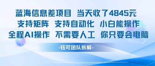 蓝海信息差项目当天收米1k+ 支持矩阵支持自动化小白能操作全程AI操作不需要人工你只要会电脑-月亮湾网创资源站