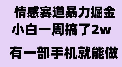 情感暴力掘金项目，新人操作一周挣了2W，长期稳定小白可做【揭秘】-月亮湾网创资源站