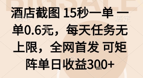 酒店截图15秒一单，一单0.6米，每天任务无上限，全网首发可矩阵单日收益3张【揭秘】-月亮湾网创资源站