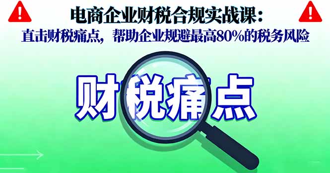 电商企业财税合规实战课，直击财税痛点，帮助企业规避最高80%的税务风险-月亮湾网创资源站