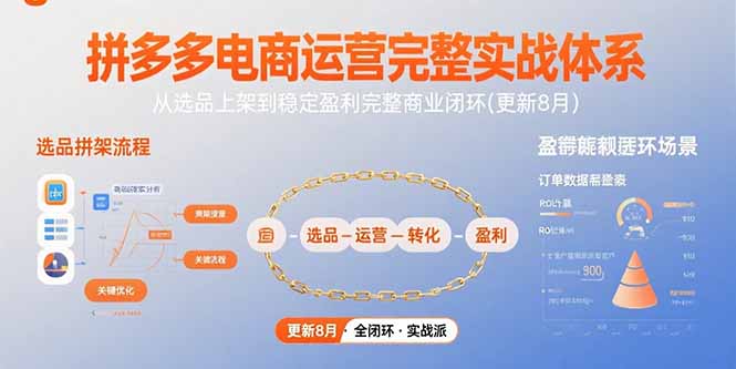 拼多多电商运营完整实战体系，从选品上架到稳定盈利完整商业闭环(更新8月-月亮湾网创资源站