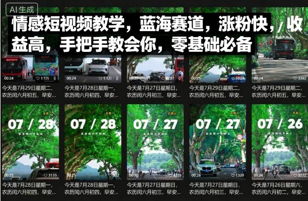 情感短视频教学，蓝海赛道，涨粉快，收益高，手把手教会你，零基础必备-月亮湾网创资源站