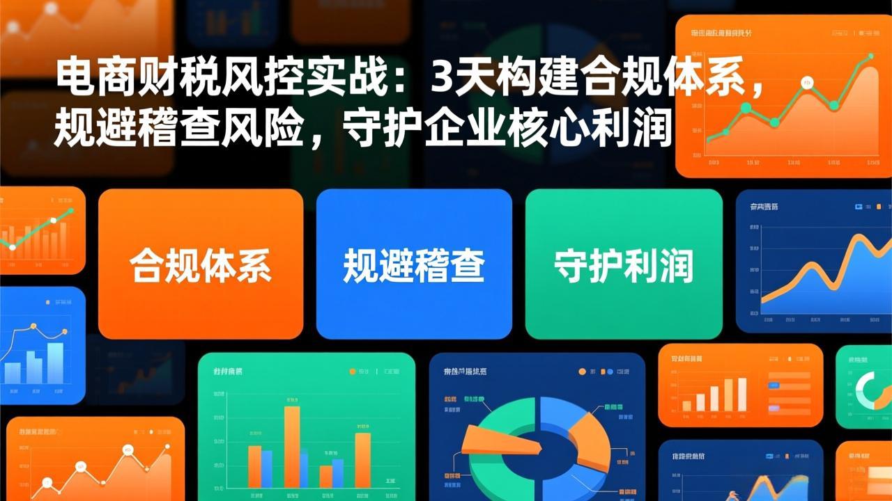 电商财税风控实战：3天构建合规体系，规避稽查风险，守护企业核心利润-月亮湾网创资源站