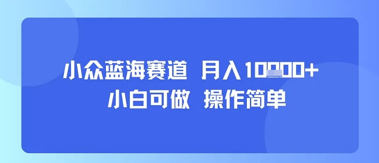 小众蓝海赛道，小白可做，操作简单，每天30分钟，月入1W+-月亮湾网创资源站
