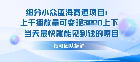 小众蓝海赛道项目：当天变现1k+适合新手操作 +适合长期玩-月亮湾网创资源站