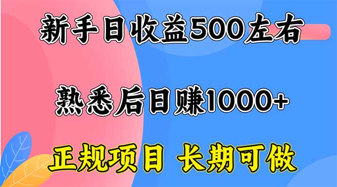 新手日收益500+ 正规项目 长期可做-月亮湾网创资源站
