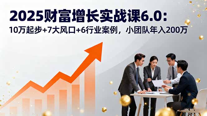 2025财富增长实战课6.0：10万起步+7大风口+6行业案例，小团队年入200万-月亮湾网创资源站
