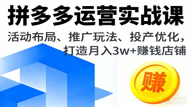 拼多多运营实战课，活动布局、推广玩法、投产优化，打造月入3w+赚钱店铺-月亮湾网创资源站