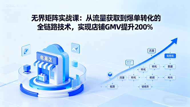 无界矩阵实战课：从流量获取到爆单转化的全链路技术，实现店铺GMV提升200%-月亮湾网创资源站