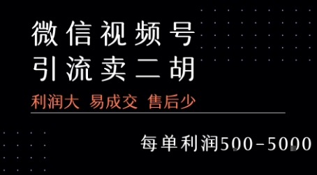 视频号卖二胡教程，利润大 易成交 售后少，一单利润5张+-月亮湾网创资源站