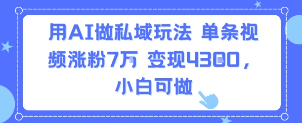 用AI做私域玩法，单条视频涨粉7W变现4.3k，小白可做-月亮湾网创资源站