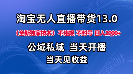 淘宝无人直播13.0，公域私域技术，不封号，不违规布局下半年旺季赛道，日入1K+(独家技术)【揭秘】-月亮湾网创资源站