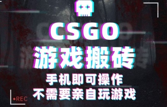CSGO游戏挂G捡漏，单日扫货5张+，年底小高峰上车可吃肉，手机即可操作，兼职副业创业网创【揭秘】-月亮湾网创资源站