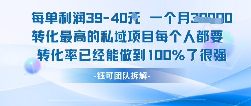 每单利润40一个月7k+转化最高的私域项目，每个人都要的产品转化率已经能做到100%-月亮湾网创资源站
