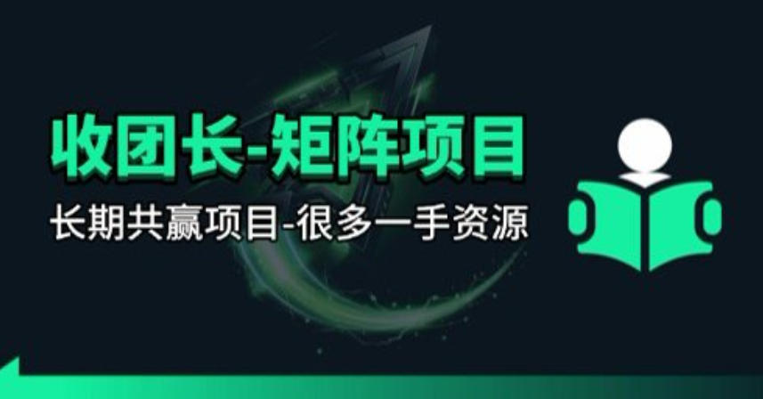 【团长合作】视频矩阵项目_招发手矩阵+剪辑师，共赢项目【揭秘】-月亮湾网创资源站