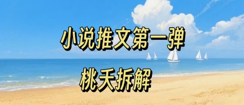 小说推文项目操作全流程第一弹，0粉就能做，门槛低非常适合新手-月亮湾网创资源站
