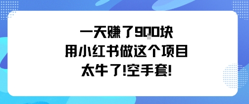 一天挣了9张用小红书做这个项目太牛了，空手套-月亮湾网创资源站