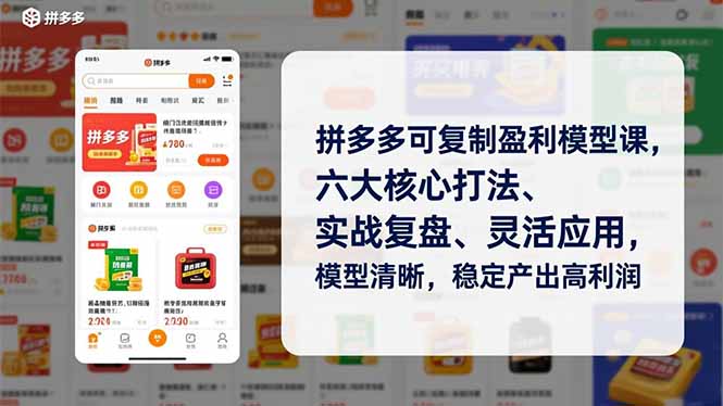 拼多多可复制盈利模型课，六大核心打法、实战复盘、灵活应用，模型清晰，稳定产出高利润-月亮湾网创资源站