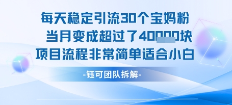 每天稳定引流30个人 当月变成超过了4个W项目流程非常简单适合小白-月亮湾网创资源站