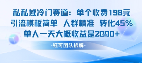 私域冷门赛道单个收费198米引流模板简单人群精准 45%的转化率单人一天大概收益多张-月亮湾网创资源站