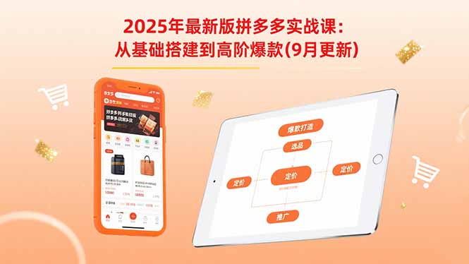 2025年最新版拼多多实战课：从基础搭建到高阶爆款(9月更新-月亮湾网创资源站