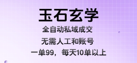 玉石玄学全自动私域成交，一单99每天十单以上，无需人工和矩阵账号，蓝海项目直接干【揭秘】-月亮湾网创资源站