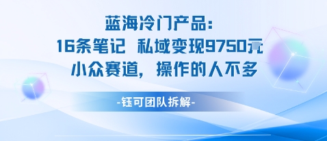 蓝海项目：16条笔记私域变现9750米小众赛道操作的人不多-月亮湾网创资源站
