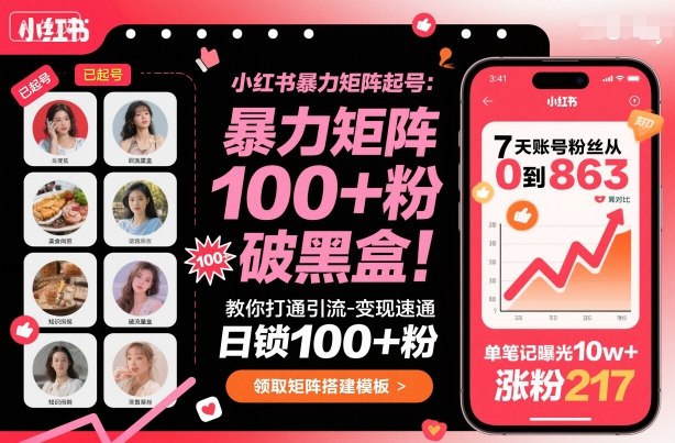 小红书暴力矩阵起号，教你打通引流-变现速通，日锁100+粉，破流量黑盒-月亮湾网创资源站