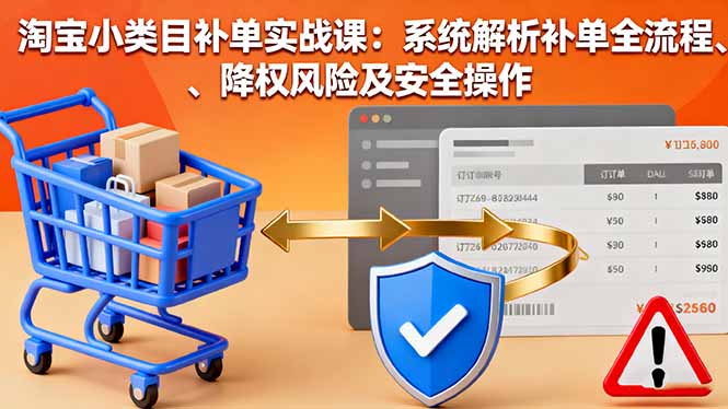 淘宝小类目补单实战课：系统解析补单全流程、降权风险及安全操作-月亮湾网创资源站