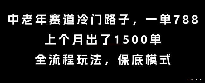 中老年赛道冷门路子，一单788，上个月出了1500单，全流程玩法，保底模式【揭秘】-月亮湾网创资源站
