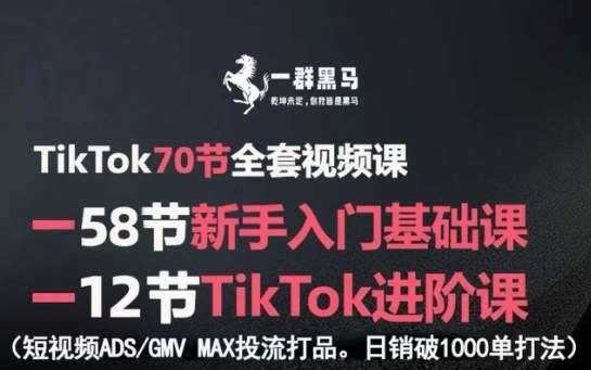 TikTok全套视频课，新手入门+进阶课，短视频ADS-GMV MAX投流打品，日销破1000单打法-月亮湾网创资源站