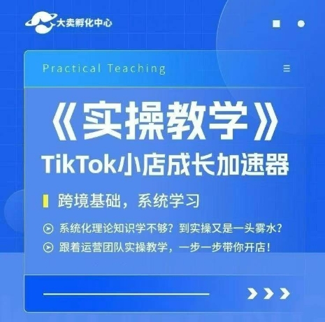 大卖家孵化中心TikTok实操课，TikTok小店成长加速器，跨境基础系统学习，一步一步带你开店-月亮湾网创资源站
