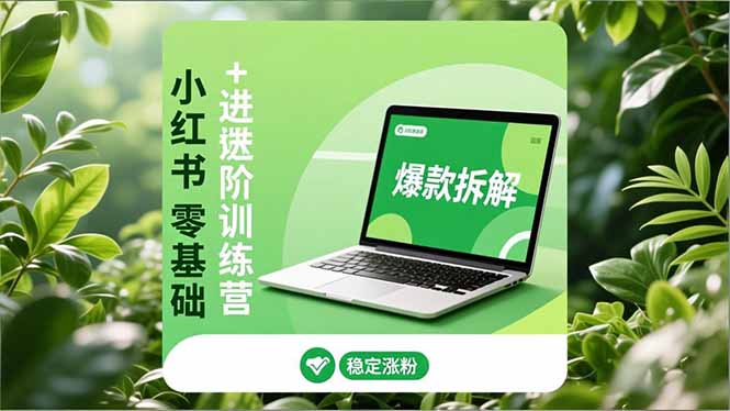 小红书零基础+高阶训练营：安全养号、爆款拆解、长效运营，实现稳定涨粉与变现-月亮湾网创资源站