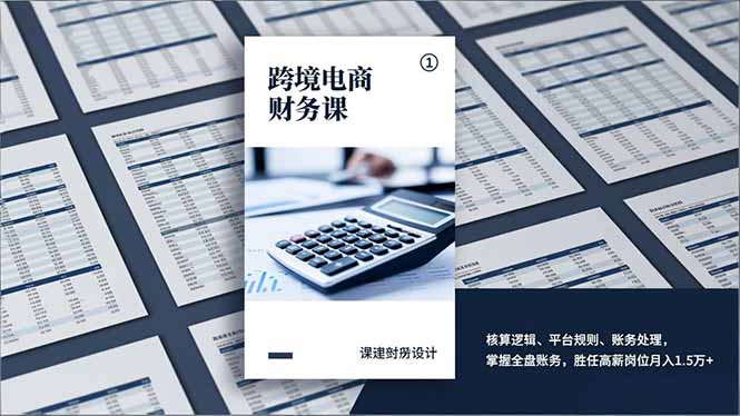 跨境电商财务课，核算逻辑、平台规则、账务处理，掌握全盘账务，胜任高薪岗位月入1.5万+-月亮湾网创资源站