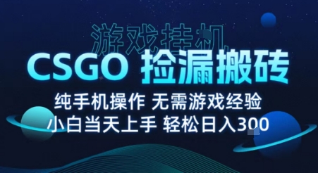 8月最新游戏搬砖，CSGO纯挂G，不需要玩游戏，实现真挂G，月入1W+【揭秘】-月亮湾网创资源站