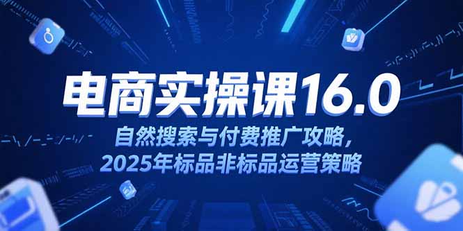淘宝电商运营课16.0，自然搜索与付费推广攻略，2025年标品非标品运营策略-月亮湾网创资源站