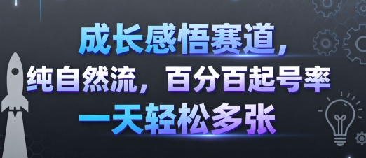 成长感悟赛道，纯自然流，百分百起号率 一天轻松多张-月亮湾网创资源站