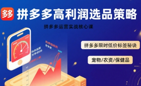 拼多多选品暴利技术实战课，拼多多高利润选品策略，拼多多限时低价标签秘诀-月亮湾网创资源站
