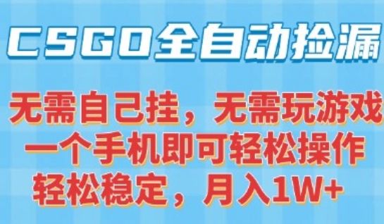 CSGO自动捡漏项目，最新独家玩法，一个手机可操作，新手小白轻松月入1W+，操作简单易上手【揭秘】-月亮湾网创资源站