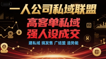 一人公司私域联盟，高客单私域，强人设成交，建私域 搞发售 广结盟 造势能-月亮湾网创资源站