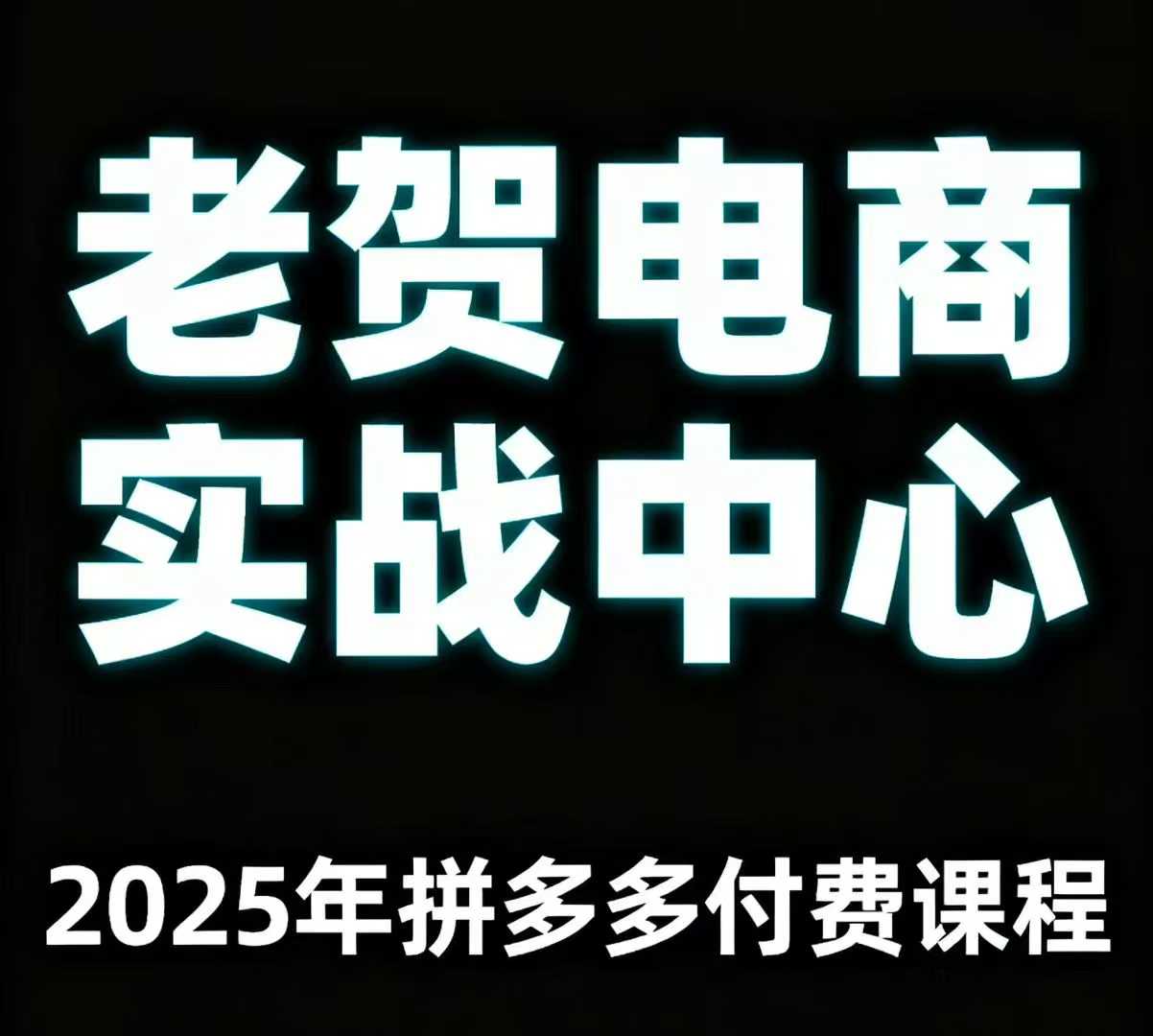 老贺电商2025年拼多多付费课程，用通俗易懂的方法告诉你多多怎么玩-月亮湾网创资源站