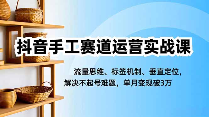 抖音手工赛道运营实战课，流量思维、标签机制、垂直定位，解决不起号难题，单月变现破3万-月亮湾网创资源站