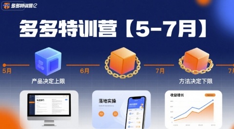 多多特训营【5-7月】产品决定上限，方法决定下限，各种玩法技巧落地实操-月亮湾网创资源站
