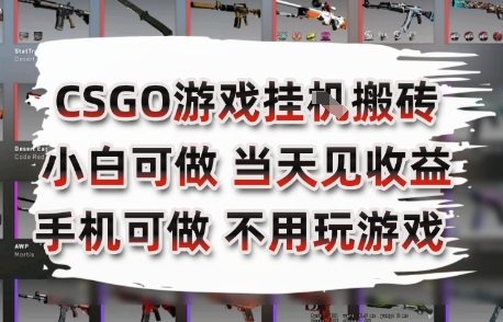 CSGO游戏挂G搬砖，小白纯手机即可操作，不用电脑打游戏，日入3张+，副业网创项目【揭秘】-月亮湾网创资源站