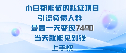2025年小白都能做的私域项目引流负债人群最高一天变现1k+高变现难度低当天就能见到钱上手快-月亮湾网创资源站