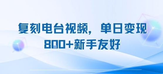 复刻电台视频，单日变现8张+新手友好，长期可做-月亮湾网创资源站