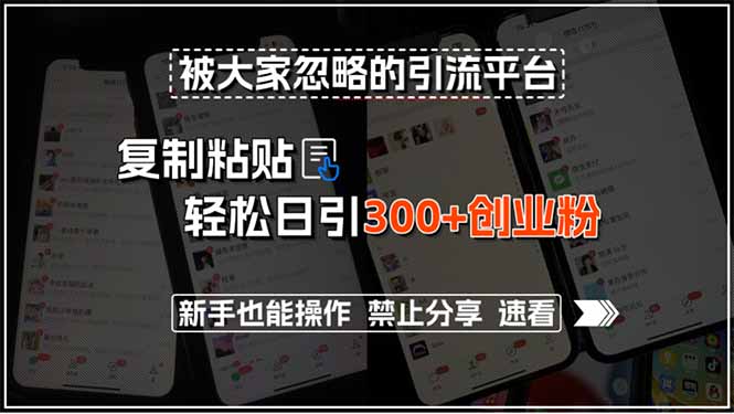 被大家忽略的引流平台，复制粘贴轻松日引300+创业粉，新手也能操作，禁…-月亮湾网创资源站