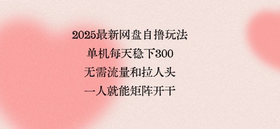 2025最新网盘自撸玩法，单机每天稳下3张，无需流量和拉人头，一个人就可轻松矩阵，全网独一份【揭秘】-月亮湾网创资源站